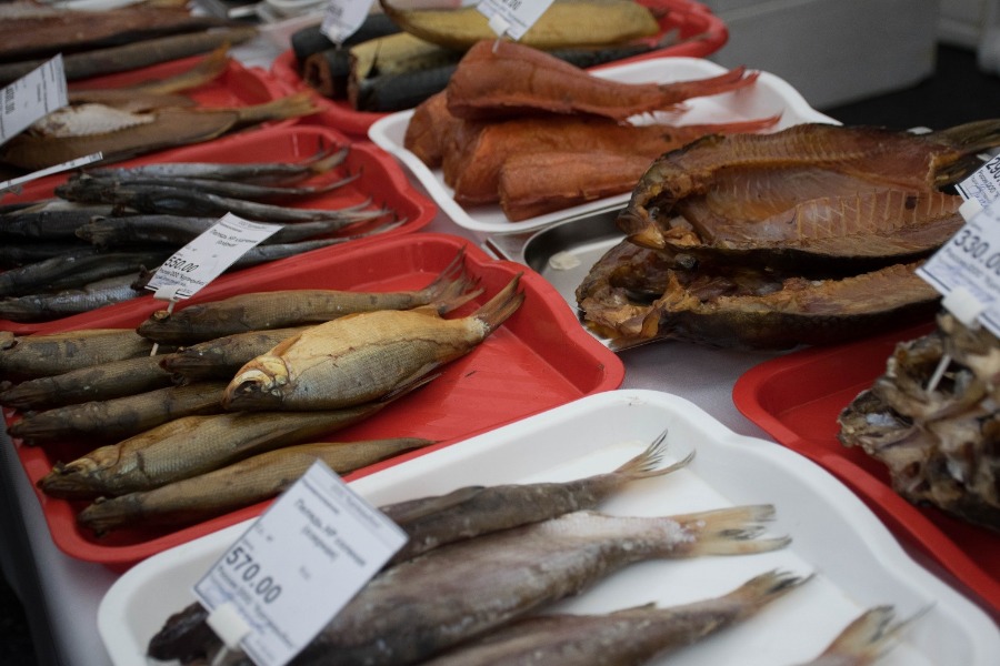 ���� ����� - 2023